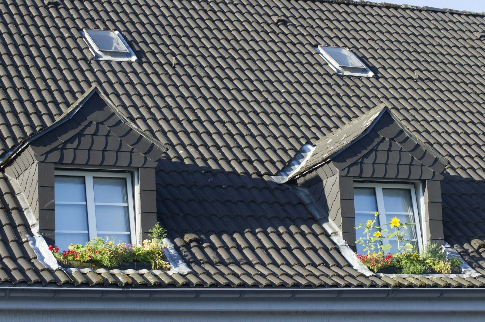 Donker pannendak met twee dakkapellen en dakramen